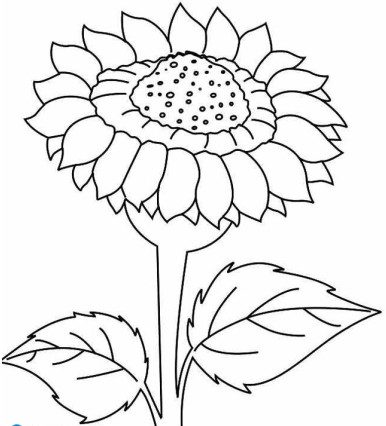 Tải hình bông hoa tô màu dành cho bé 5