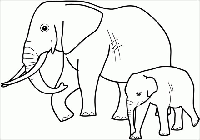 Bộ sưu tập tranh tô màu con voi hiền lành đáng yêu cho bé 11