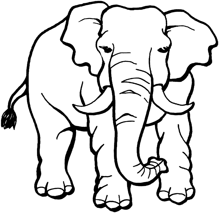 Bộ sưu tập tranh tô màu con voi hiền lành đáng yêu cho bé 5
